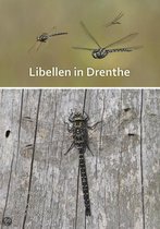 Libellen in Drenthe