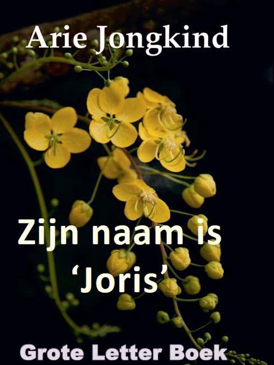 Zijn naam is 'Joris' - cover