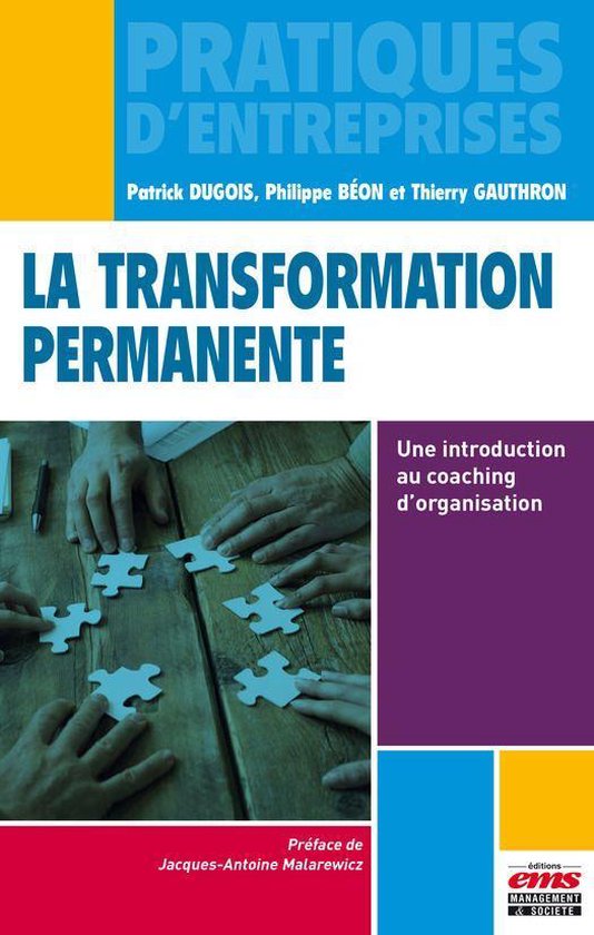 Pratiques d'entreprises - La transformation permanente - cover
