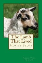 The Lamb That Lived --- Moxie's Story