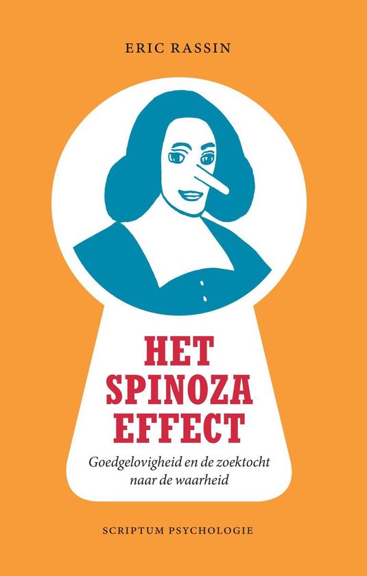 Het Spinoza-effect - cover