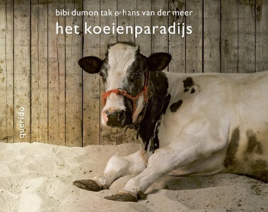 Het koeienparadijs - Bibi Dumon Tak | Northernlights300.org