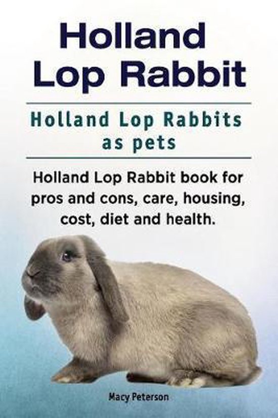 Holland Lop Rabbit. Holland Lop Rabbits as pets. Holland Lop Rabbit