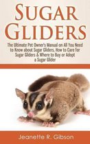 Sugar Gliders