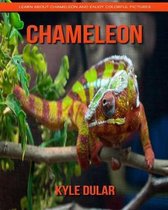 Chameleon! Learn about Chameleon and Enjoy Colorful Pictures