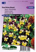 Sluis Garden - Hoorniooltje Helen Mount (Viola cornuta)