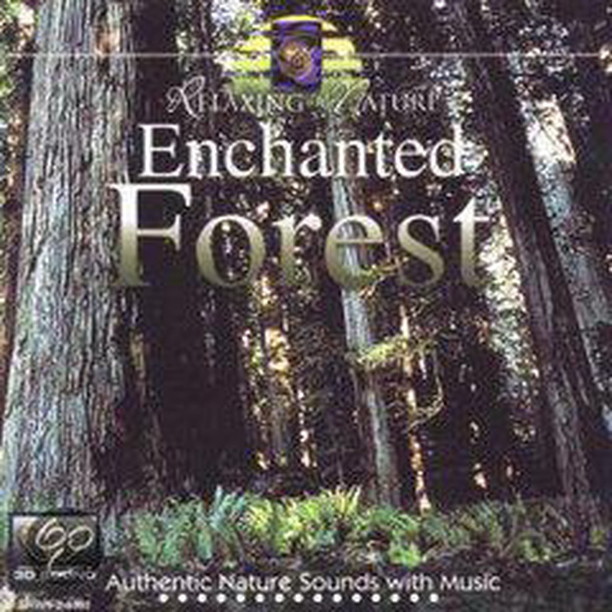 Enchanted Forest