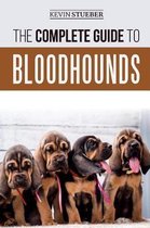 The Complete Guide to Bloodhounds