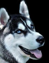 Siberian Husky Notebook