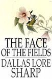 The Face of the Fields