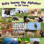 Baby Learns the Alphabet