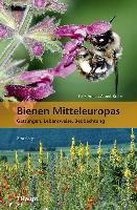 Bienen Mitteleuropas