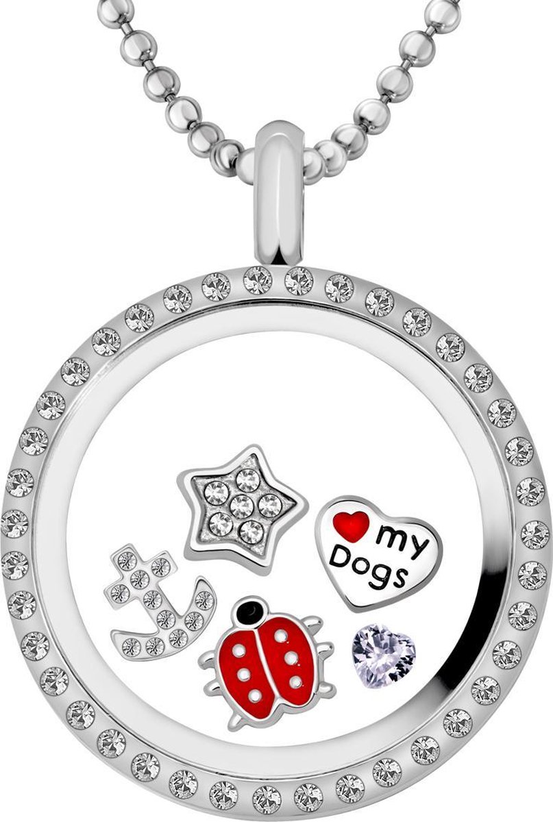 Quiges Memory Medaillon RVS 30mm met Ketting 90cm en 5 Floating Charms - CLS007