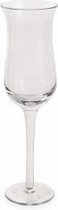 Villa d'Este Home Avenue Champagneglazen - Flutes - Transparant - Glas - 6 stuks - 240 ml