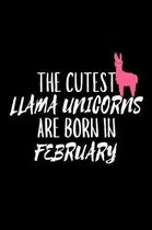 The Cutest Llama Unicorns Are Born In February