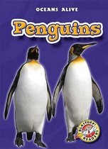 Oceans Alive- Penguins