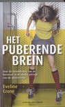 Het puberende brein Het puberende brein