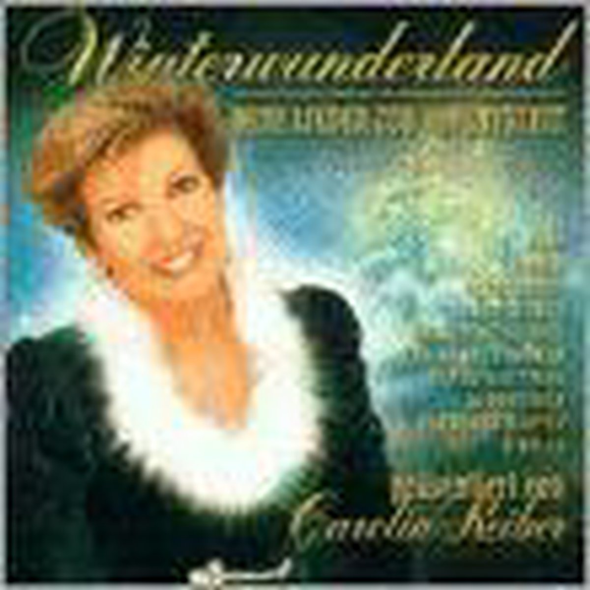 Winterwunderland 2001
