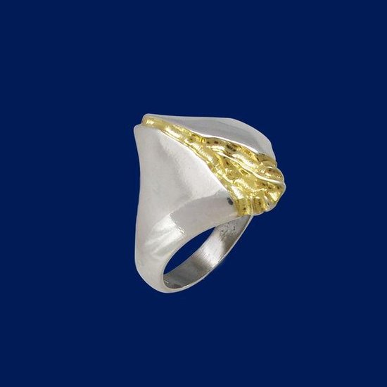 Rivier van goud, Zilveren ring 22.5mm