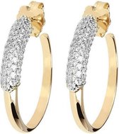 Shiny Hoop gemstone earrings WSBZ00939YWY