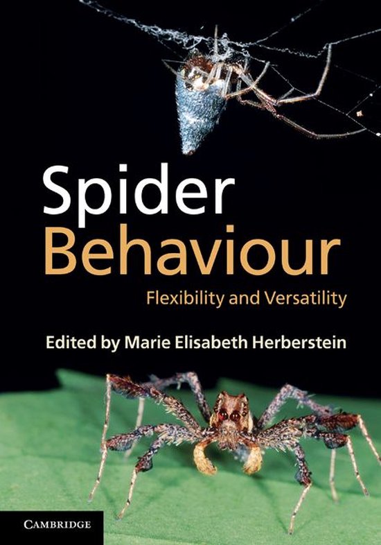 Spider Behaviour - cover