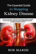 The Essential Guide to Stopping Kidney Disease