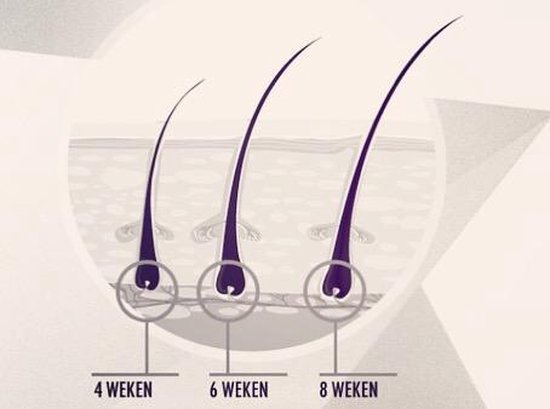 lash Wimperserum
