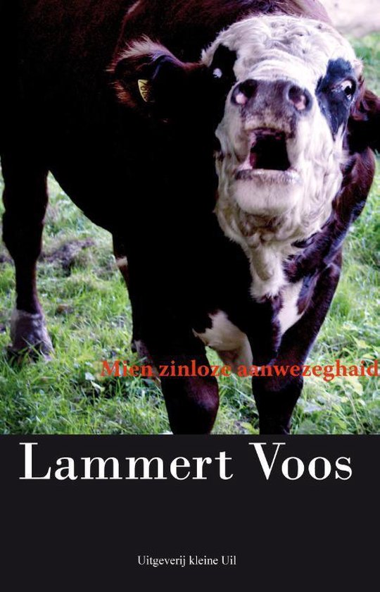 Mien zinloze aanwezeghaid - Lammert Voos | Respetofundacion.org
