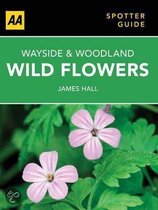 Wayside & Woodland Wild Flowers