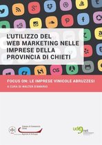 L'utilizzo del Web Marketing nelle imprese della provincia di Chieti. Focus on:le imprese vinicole abruzzesi