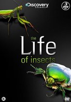 The Life Of Insects