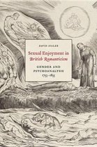 Sexual Enjoyment in British Romanticism: Gender and Psychoanalysis, 1753-1835