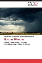 Moscas Blancas