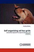Self Organizing Ad Hoc Grids