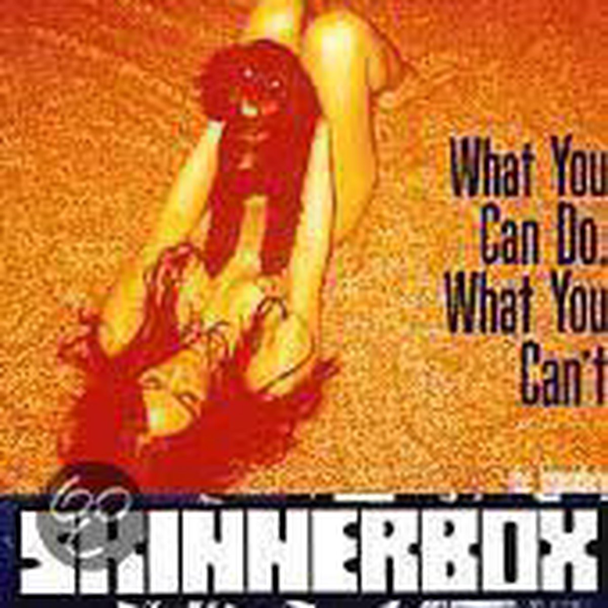 What You Can Do, What You Can't