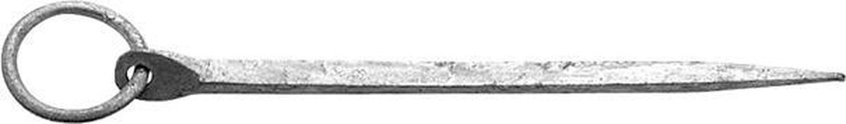 Trem gegalvaniseerde Meerpen 500 x 22 mm