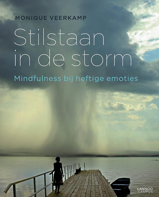 Cover van het boek 'Stilstaan in de storm'