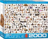 Puzzel - Hondenwereld - 2000st.