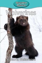 Elementary Explorers- Wolverines
