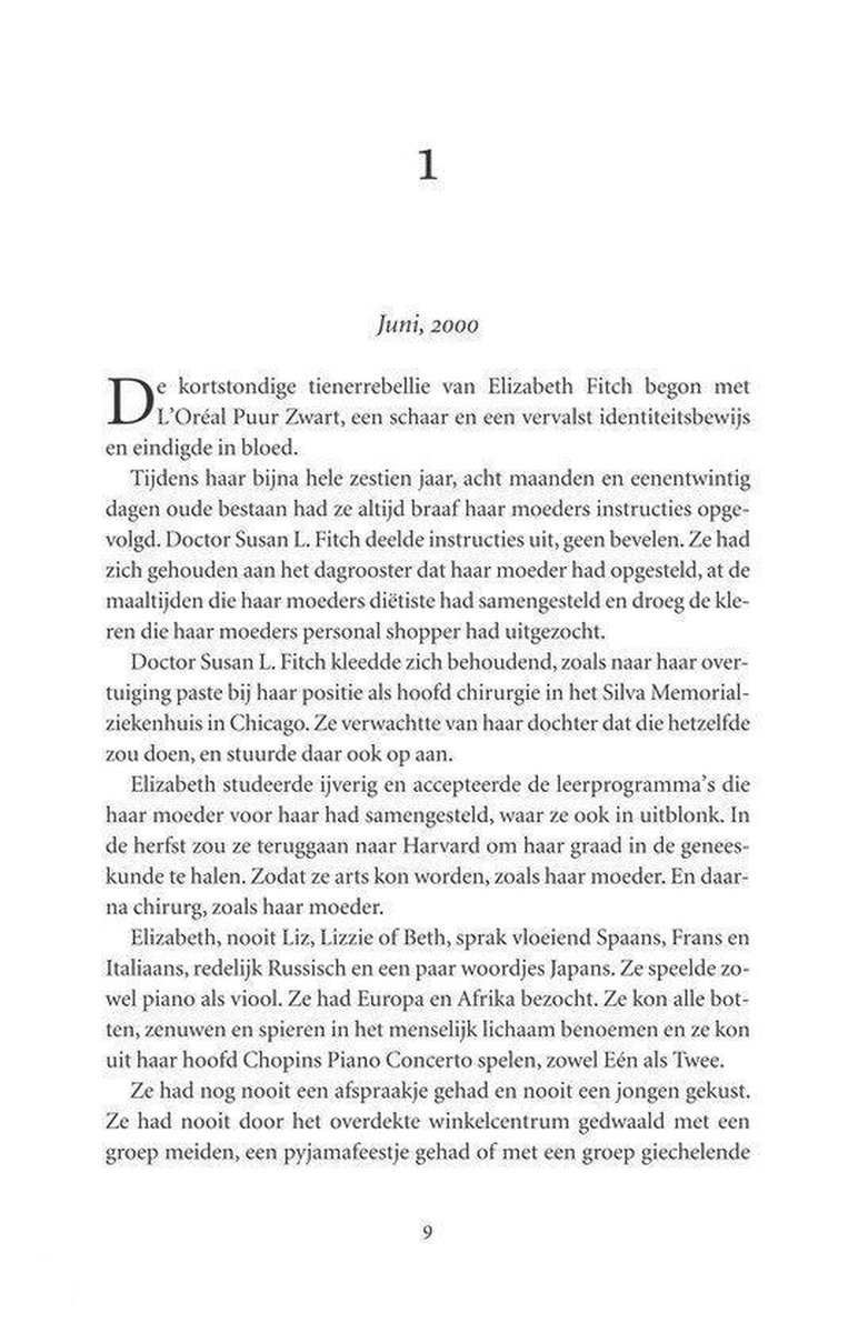 De ooggetuige – foto 4