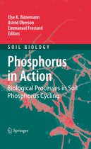 Soil Biology 26 - Phosphorus in Action