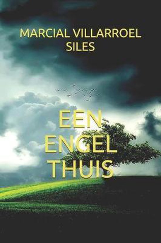 Een Engel Thuis - cover