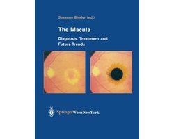 The Macula