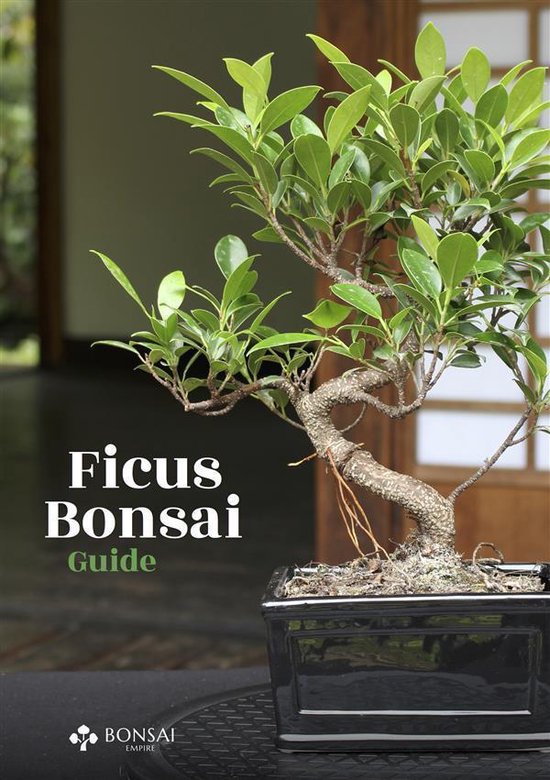 Ficus Bonsai Guide - cover