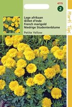 Hortitops Zaden - Tagetes Patula Nana Petite Yellow