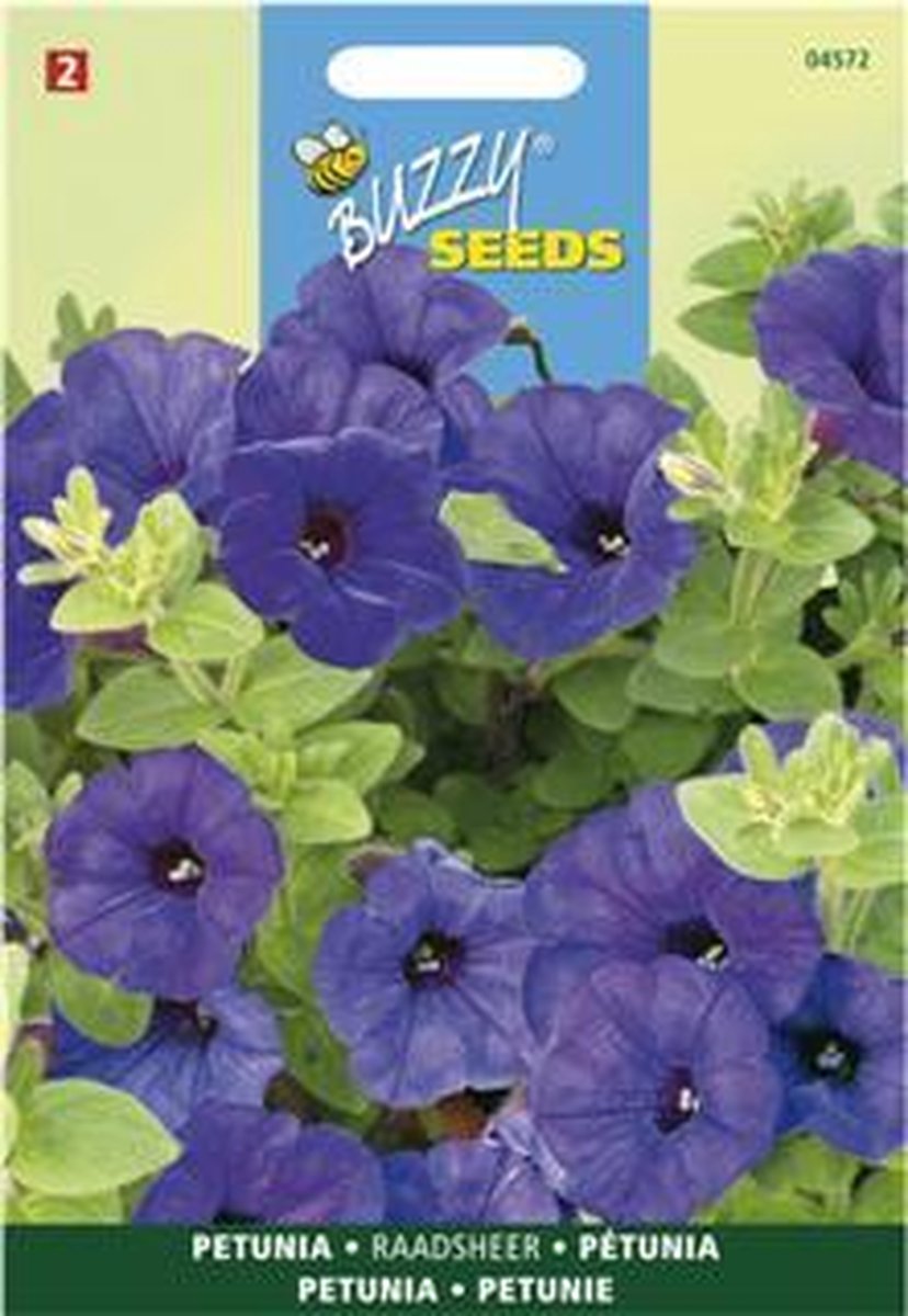 Petunia Raadsheer blauw - Petunia nana compacta