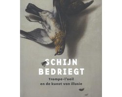 Omslag van Schijn bedriegt