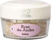 PEUGEOT SEL ROSE DES ANDES 33910