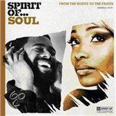 Various Artists - Spirit Of : Soul
