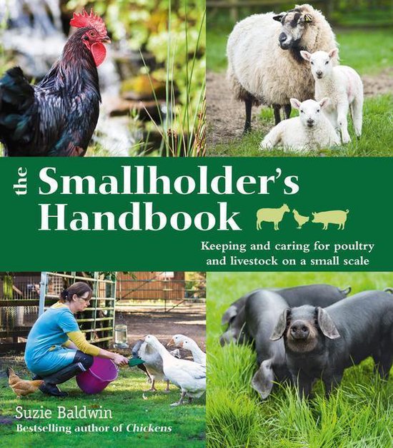 De kaft van 'The Smallholder's Handbook: Keeping and caring for poultry and livestock on a small scale' toont een haan, schapen met lammetjes, een vrouw die kippen en ganzen voert, en varkens.
